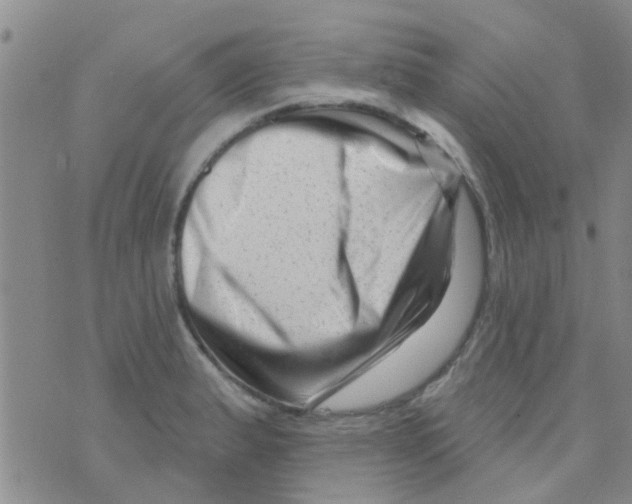 X0000073741183200608311902