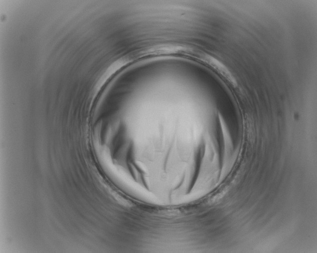 X0000073741186200608311902