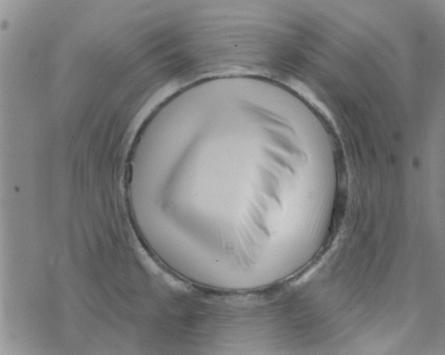 X0000073741189200608311902