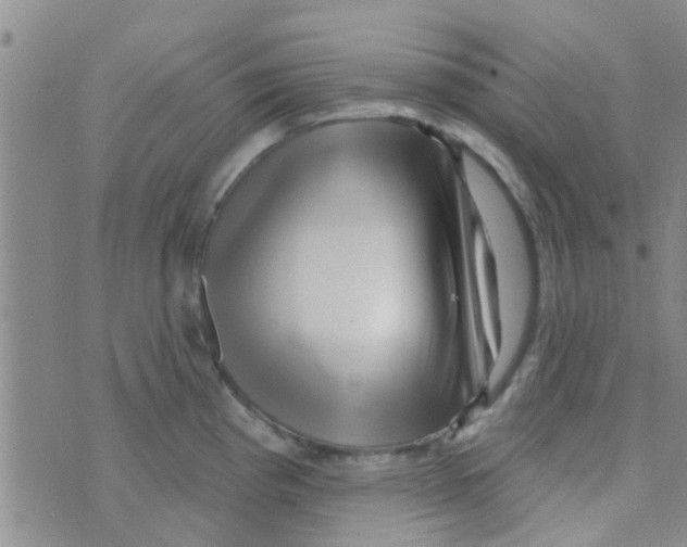 X0000073741193200608311902