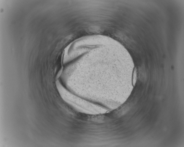 X0000073741201200608311901