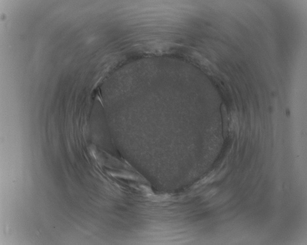 X0000073741202200608311901