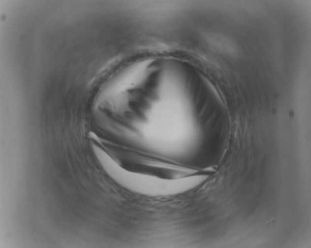 X0000073741205200608311901