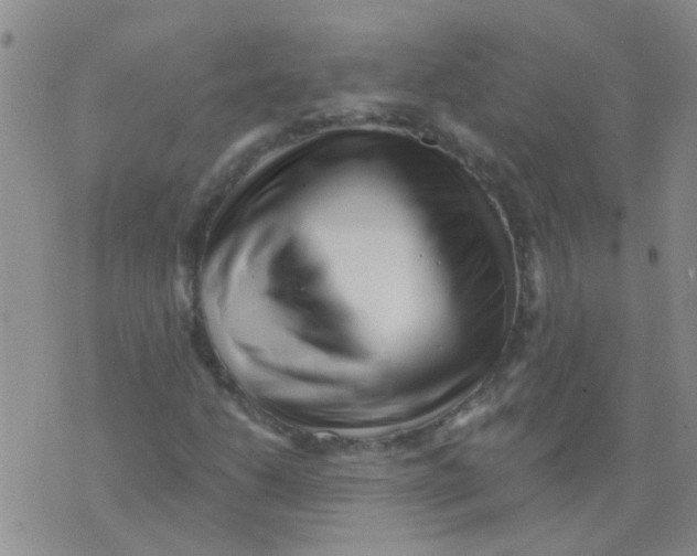 X0000073741206200608311901