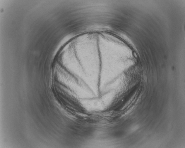 X0000073741227200608311902