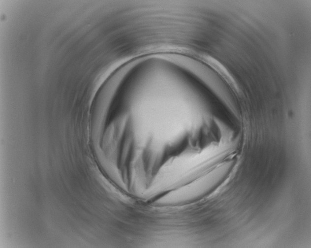 X0000073741244200608311902