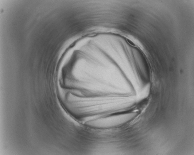 X0000073741247200608311902