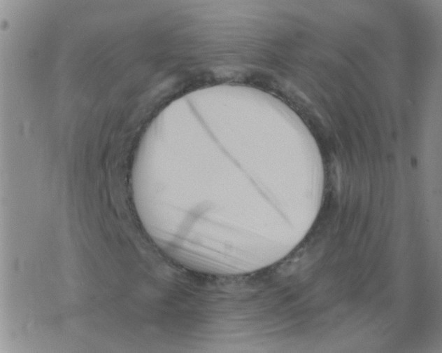 X0000073741249200608311901