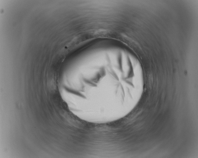 X0000073741250200608311901
