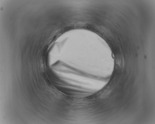 X0000073741252200608311901