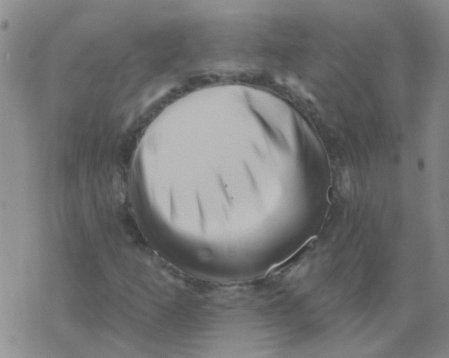X0000073741253200608311901