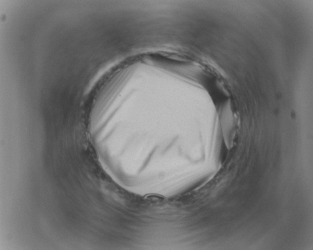 X0000073741256200608311901