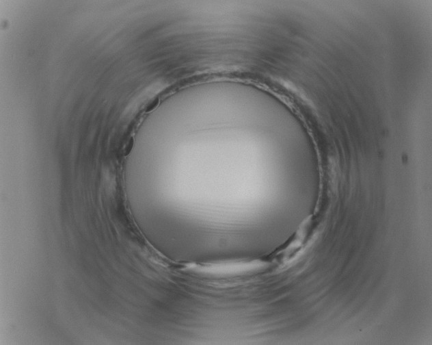 X0000073741257200608311901