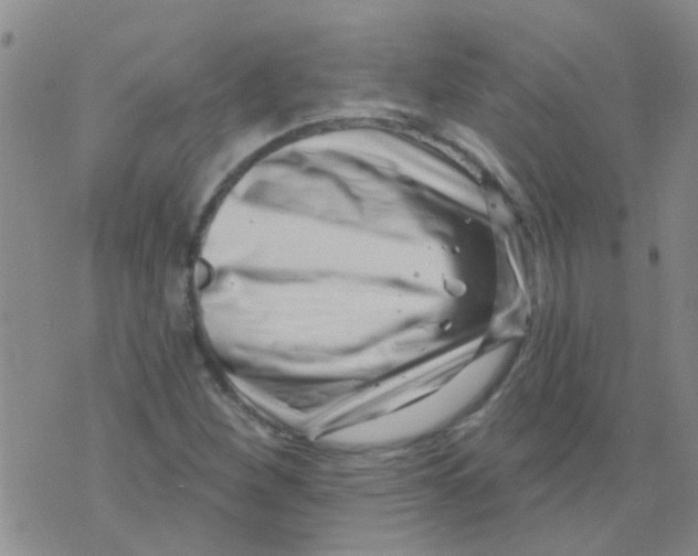 X0000073741260200608311901
