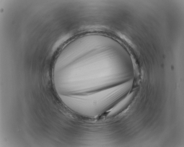 X0000073741261200608311901