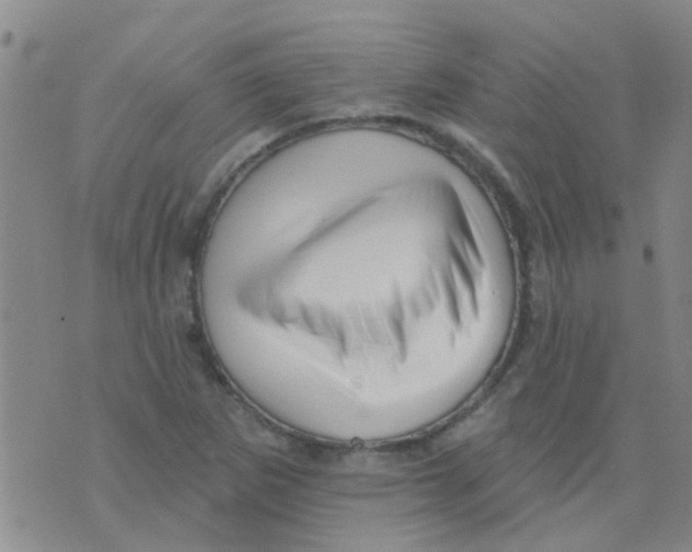 X0000073741265200608311901