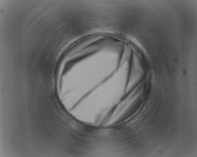 X0000073741268200608311901