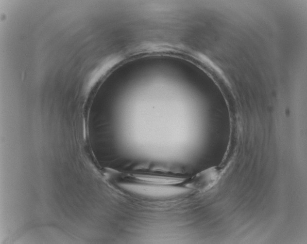 X0000073741269200608311901