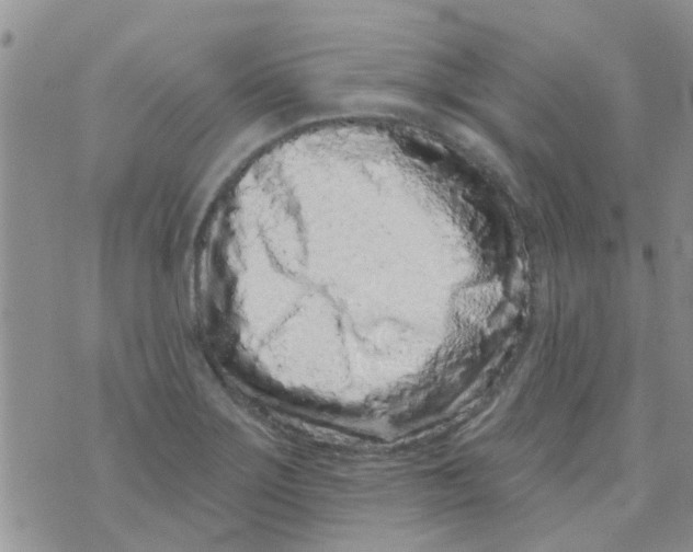X0000073741275200608311901
