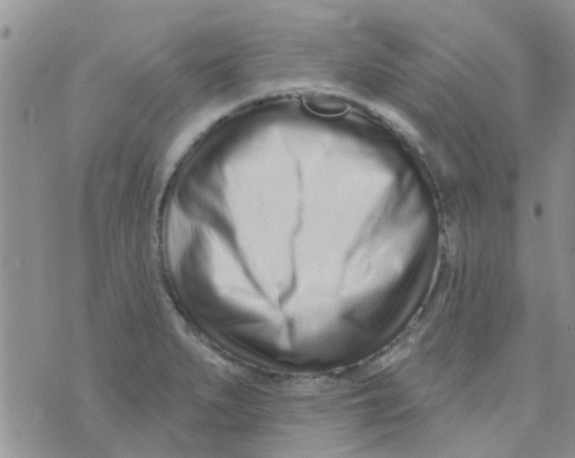 X0000073741279200608311901