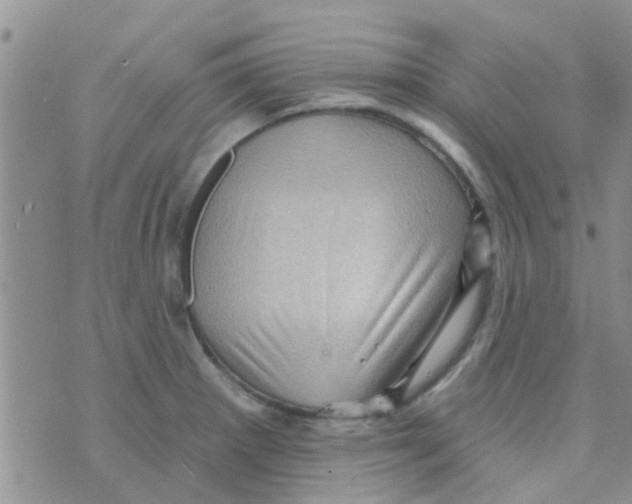 X0000073741281200608311901