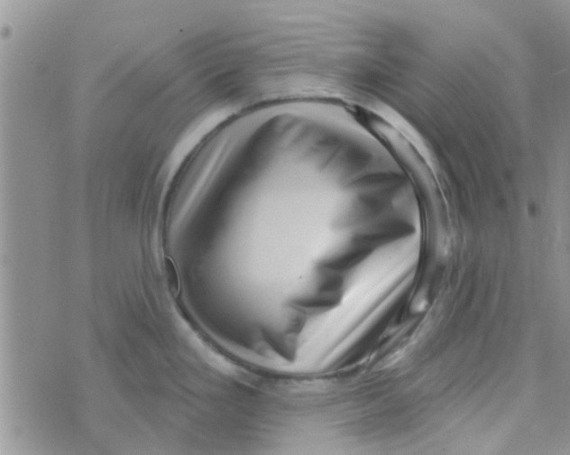 X0000073741293200608311900
