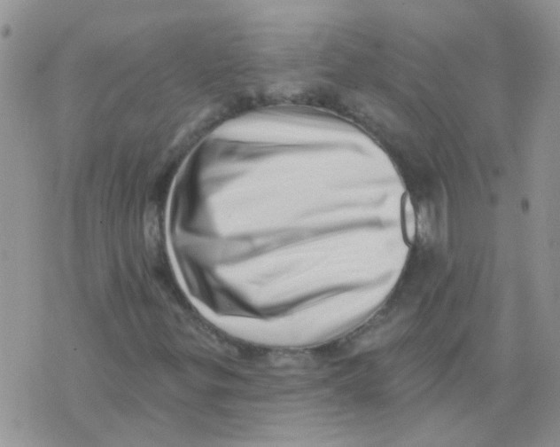X0000073741299200608311900