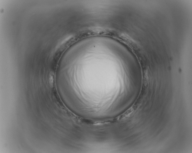 X0000073741302200608311900