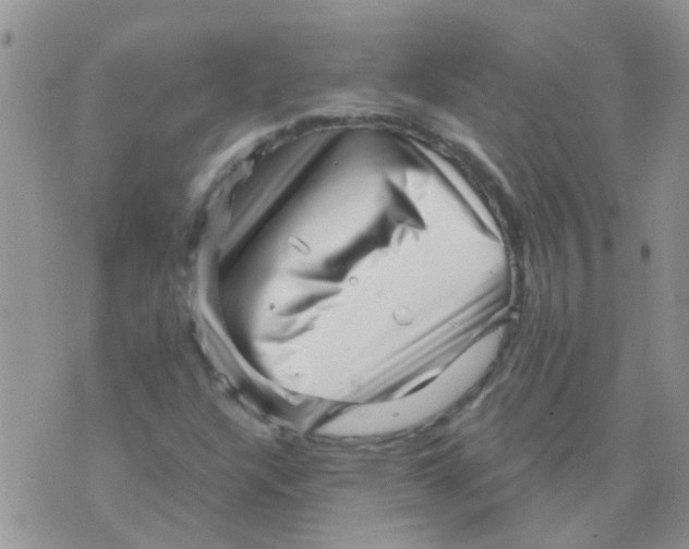 X0000073741304200608311900