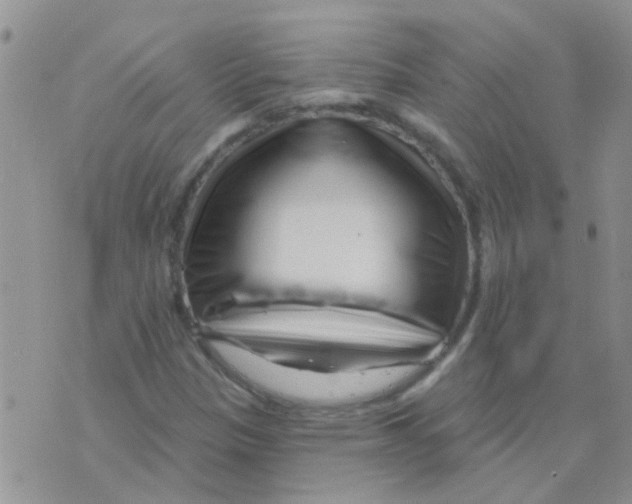 X0000073741305200608311900