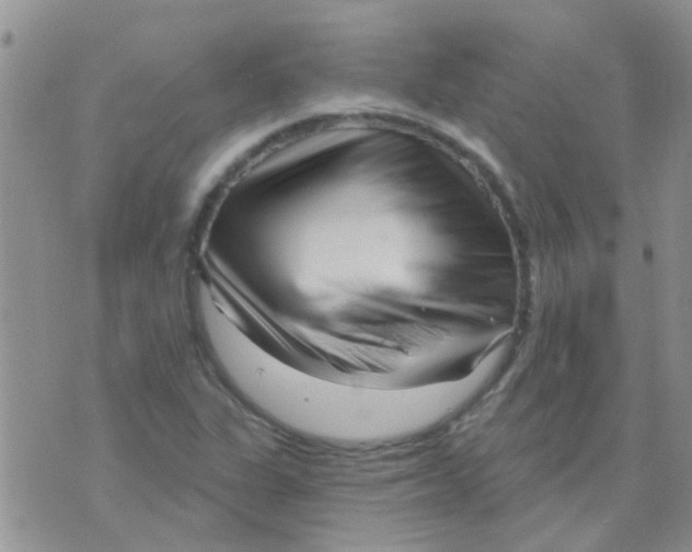 X0000073741311200608311900