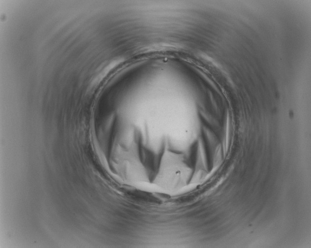 X0000073741313200608311900