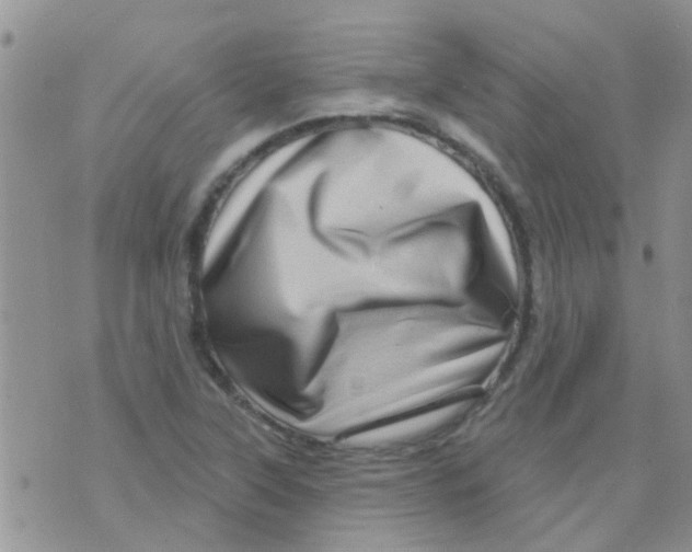 X0000073741315200608311900