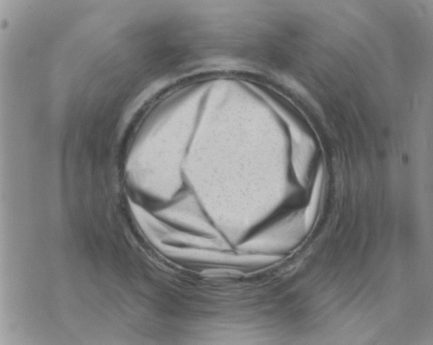 X0000073741318200608311900