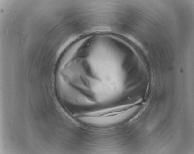 X0000073741325200608311900