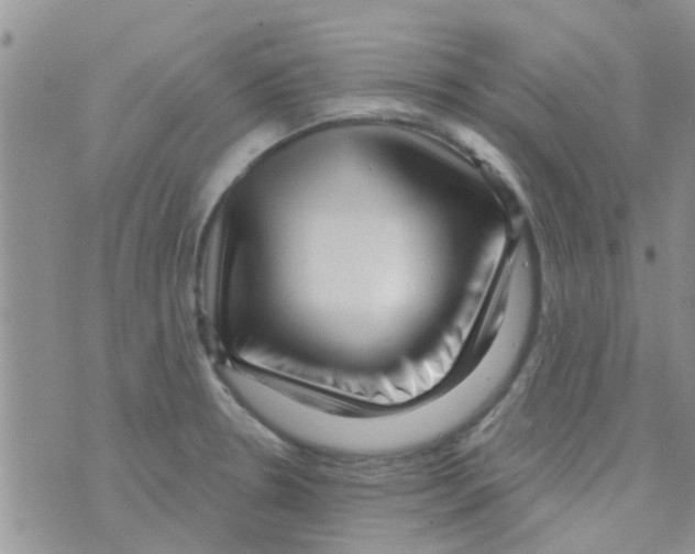 X0000073741330200608311900