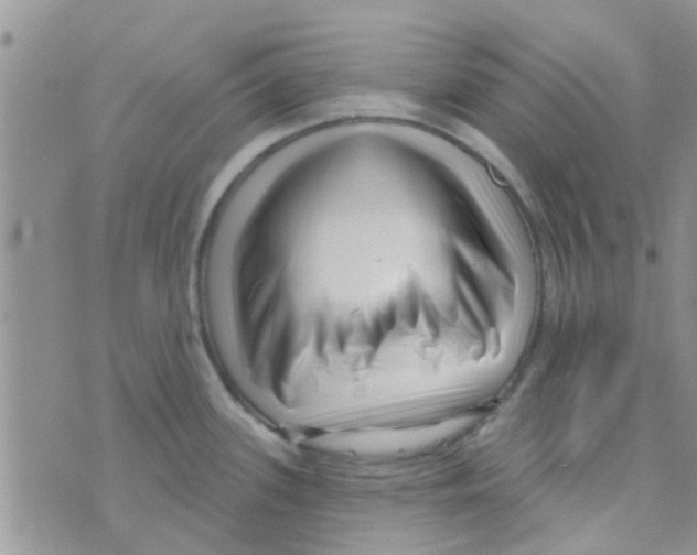 X0000073741339200608311900