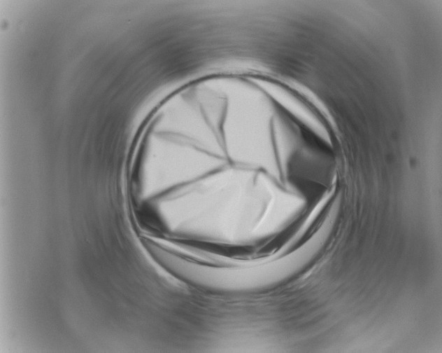 X0000073741343200608311900
