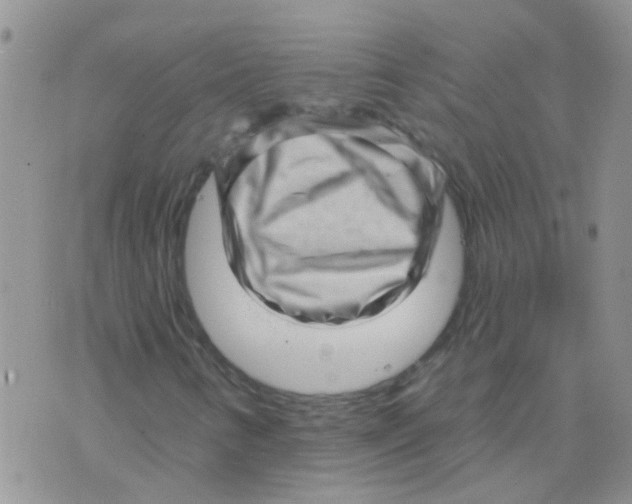 X0000073741346200608311900