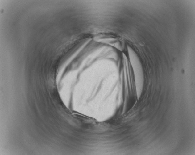 X0000073741348200608311900