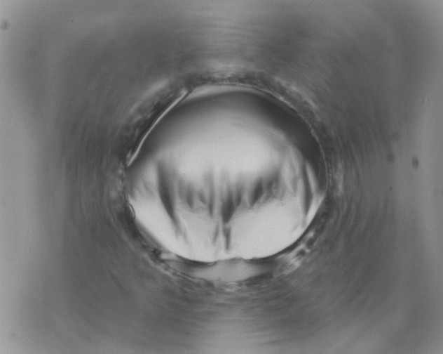 X0000073741349200608311900