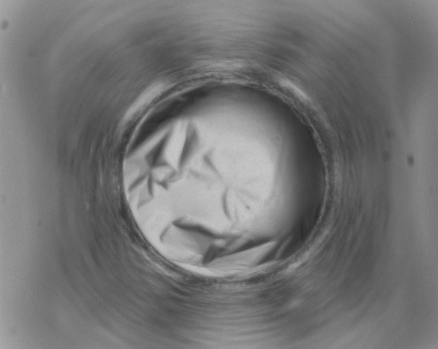 X0000073741354200608311859