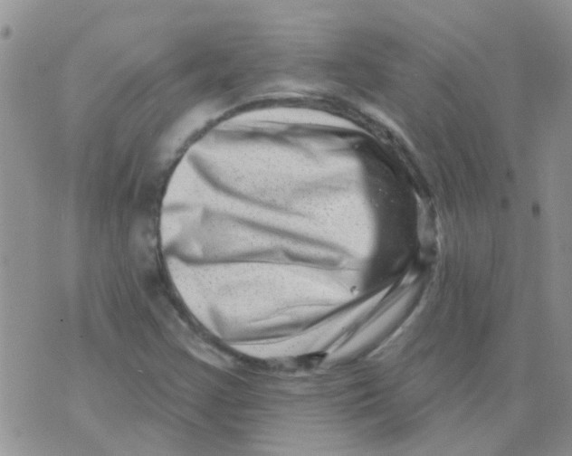 X0000073741355200608311859