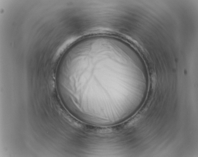 X0000073741363200608311859