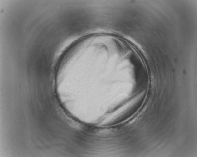 X0000073741367200608311859