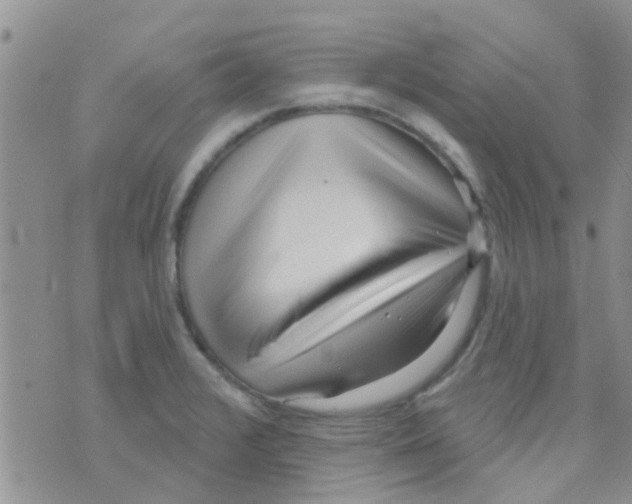 X0000073741376200608311859