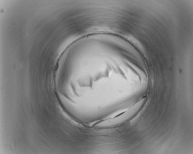 X0000073741382200608311859