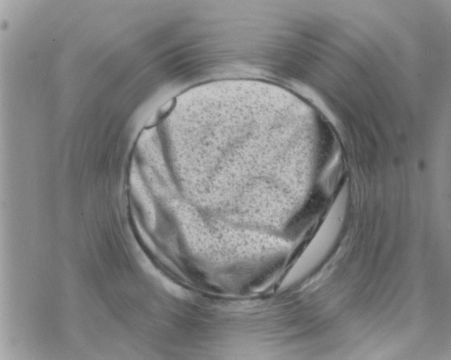 X0000073741387200608311859