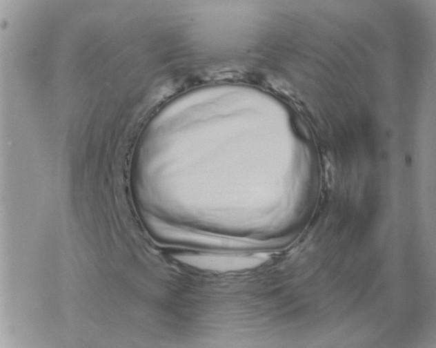 X0000073741393200608311858