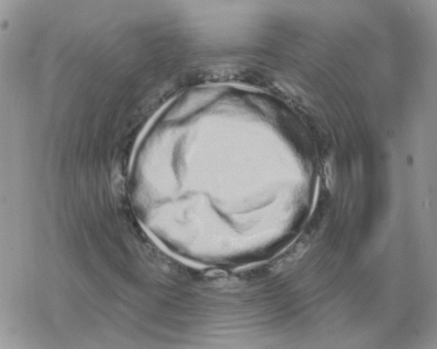 X0000073741395200608311858